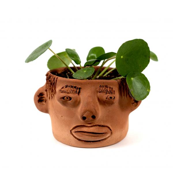 Clay plant pot featuring a quirky face with ears. Plant in pot.