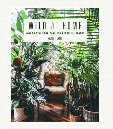 Wild At Home by Hilton Carter book cover. White background.