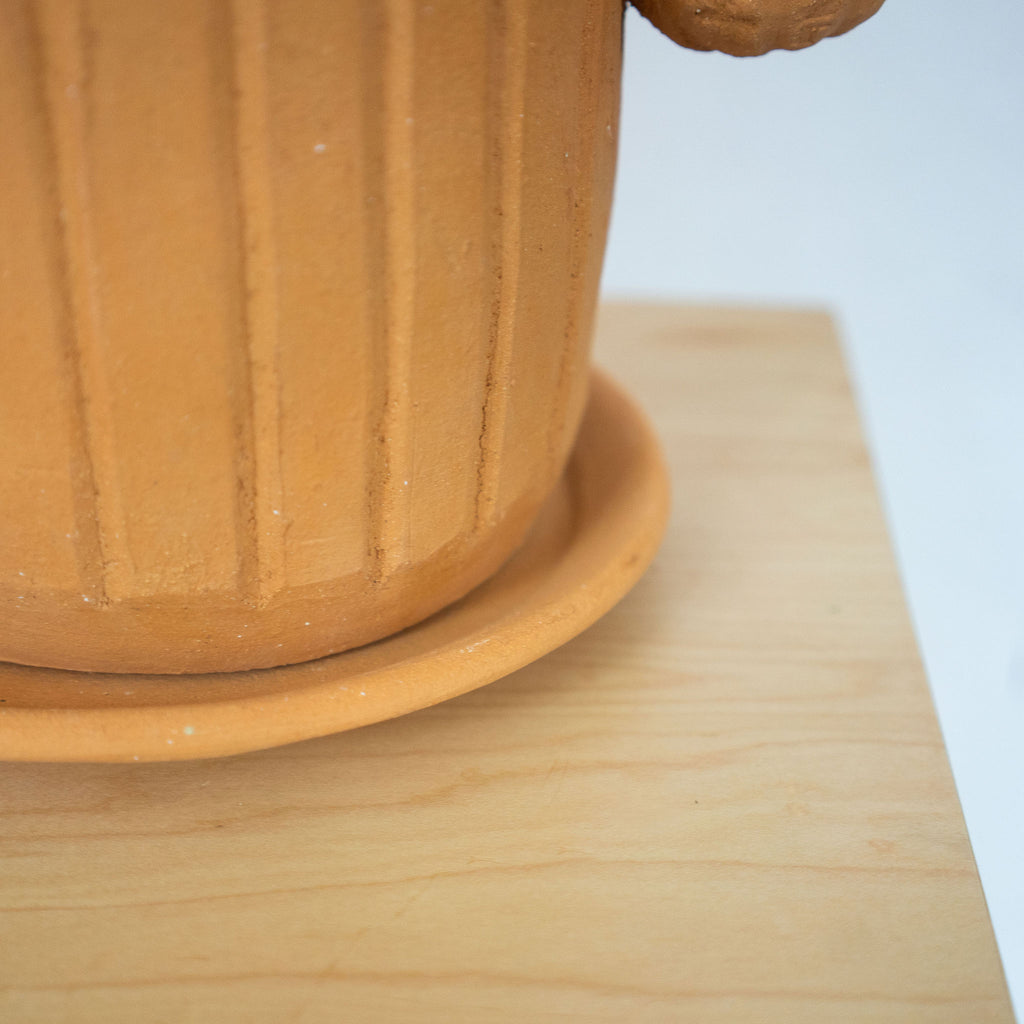 Ceramic Cactus Plant Pot with tray sits on a wood platform in front of a white background.  Detail of tray on bottom.