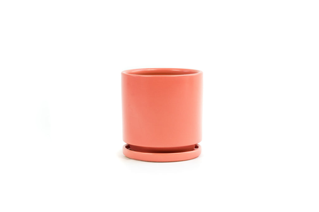 6.5" Porcelain Plant Pot and Tray in Coral