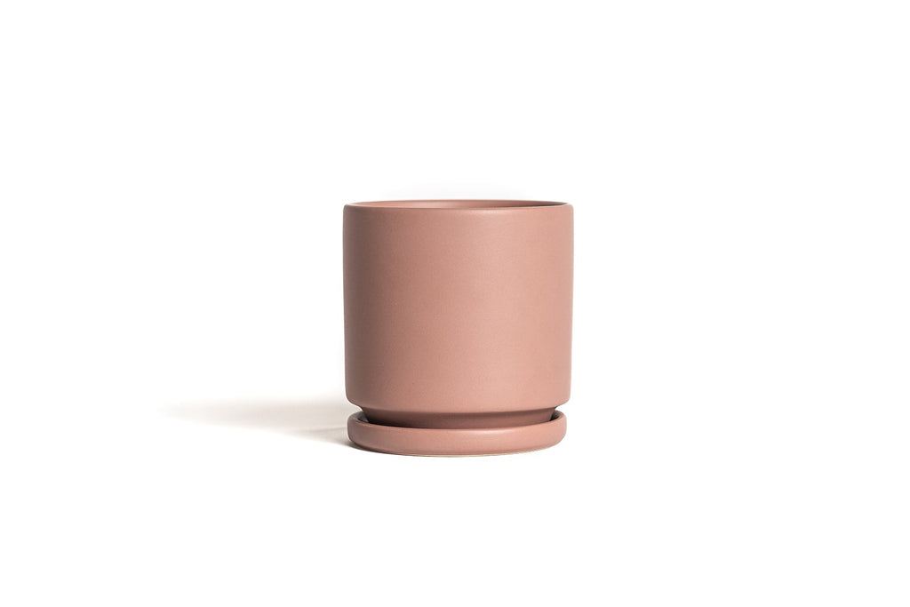 8.5" Porcelain Plant Pot and Tray in Dusty Rose