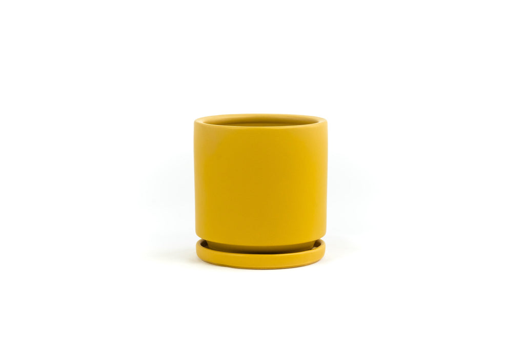 10.5" Porcelain Plant Pot and Tray in Mustard Yellow