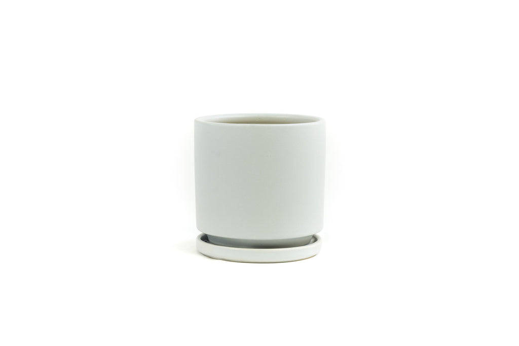 6.5" Porcelain Plant Pot and Tray in White
