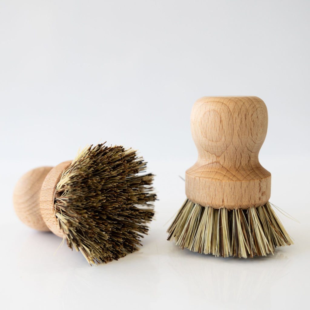 Beechwood and plant fiber pot and pan brush. Two brushes next to each other, one showing bristles, one upright.