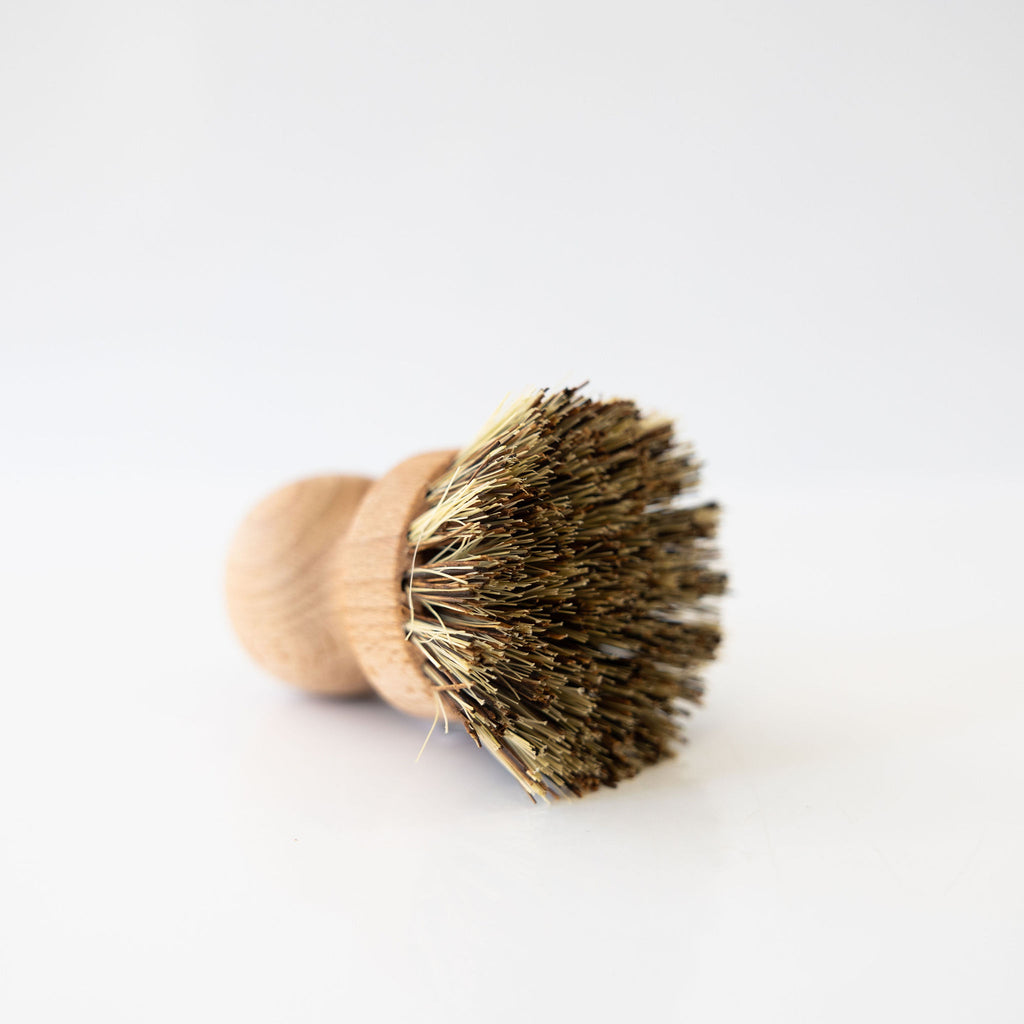 Beechwood and plant fiber pot and pan brush. Detail of bristles.