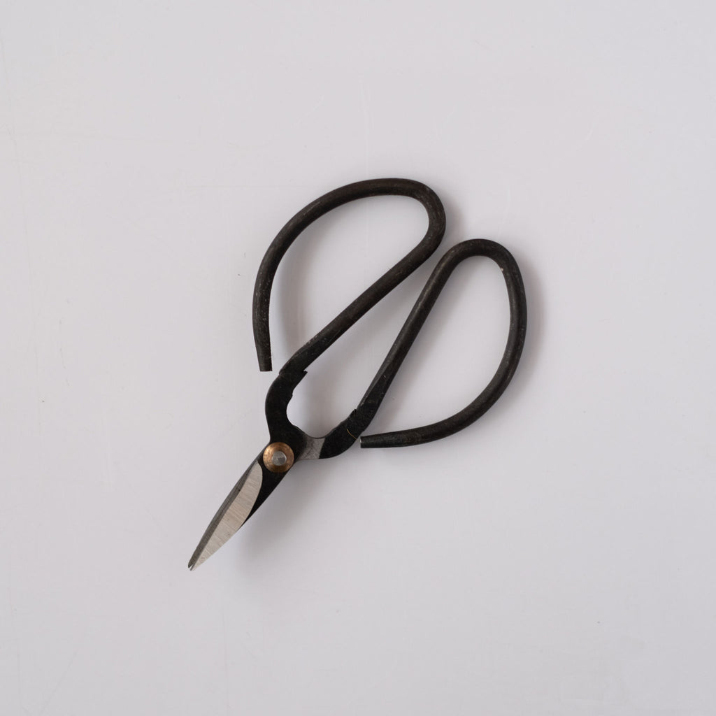 Wide handled loopy black scissors on white background..