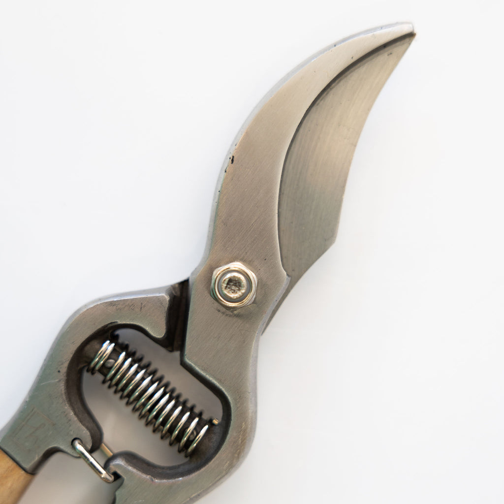 Ash handled pruning clippers with drop forged stainless blades. Close up on blades.